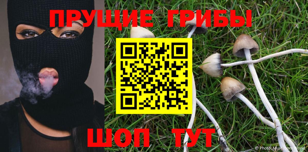 Галлюциногенные грибы Psilocybe  Вход с VPN  Каспийск 